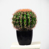 Cactus Artificial -  25 Cm - Regalosdeco 2