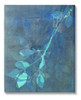 Stupell Industries Layered Abstract Botanical Leaves Canvas 0