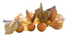 Physalis Selecionadas -100 Unid -para Doces Finos E Bolos 0