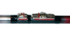 Caña Spinit Extreme 4500 Ideal Pejerrey 100 % Grafito 0