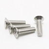 2  56 Surtido De Cabeza De Tornillo Con Cabeza Plana Phillip 3
