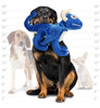 Mighty- Blue Dragon - Squeaker-múltiples Capas. Hecho Durade 3