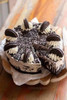 Torta Oreo 2
