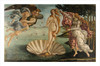 Lamina Fine Art Nacimiento De Venus Botticelli 120x80 Cm Myc 0