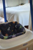 Saltarin Jumping Graco. Bebe Hamaca 2 Saltarin Jumping Graco. Bebe Hamaca 2