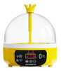 Incubadora De Ovos Digital, Incubadora De Aves, Automático 6