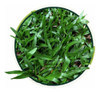 Semillas Césped Brasilero Axonopus - Ideal Jardines - Envíos 3