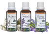 Kit 3 Óleo Pronto Para Pele Lavanda Melaleuca Alecrim - Wnf 0