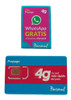 Chip Sim Personal - Prepago - 3 En 1 - 4g Pack 30 4 Chip Sim Personal - Prepago - 3 En 1 - 4g Pack 30 4
