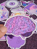 Stickers Vinilo Calcos Premium Impermeables Pack Violeta 1