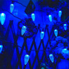 Borita - Cadena De Luces Navideas Para Exteriores, 25 Luces 0