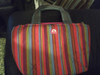 Bolso Para Vianda Igloo 0