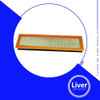 Filtro De Aire Liver Lp3005 Ford - Citroen 1