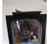 Lampara De Proyector - Infocus Lp260 0