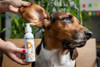 Limpa Orelhas Limpeza De Ouvido Cães E Gatos Dogs Care 120ml 3