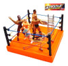 Ring Lucha Libre Con 4 Muñecos Luchadores Acce Mundo Cla Abc 4
