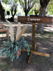 Altar Boda Jupa Palio Nupcial Ceremonia Evento Ambientacion 6