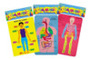 Rompecabezas Cuerpo Humano Digestivo Anatomia Niños Goma Eva 3