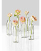 ~? Serene Spaces Living Clear Glass Bud Jarrones, Juego De 6 4