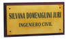 Placa De Bronce Para Profesionales 2