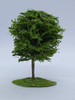 Nico Arbol De Copa Redonda Verde 8 Cms De Alto Ho (arv 59) 3
