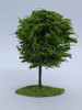 Nico Arbol De Copa Redonda Verde 8 Cms De Alto Ho (arv 59) 4