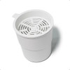 Espremedor De Frutas Elétrico Industrial Inox Potente Ag6 6