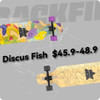 Backfire Premium Beginner Longboard Skateboard 2