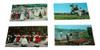 Lote Postales Danzas Folkloricas Y Costumbres Argentinas 0