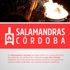Vidrio Salamandra Repuesto Schott Robax Vitro Ceramico 4