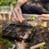 Bandeja Para Cultivo De Mudas Hortaliças 30 Células 10 Un 1 Bandeja Para Cultivo De Mudas Hortaliças 30 Células 10 Un 1