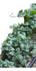 Lamastrium Mercurio Plateada Grande 0