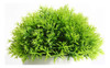 Feilanduo 4 Mini Plantas Artificiales En Maceta Con 2