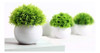 Feilanduo 4 Mini Plantas Artificiales En Maceta Con 3