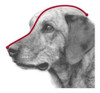 Bozal Plastico S Trixie Mascotas Perros Cachorros 40% Off!! 3