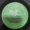 Lp- Raw Magic ( Magic Slim And The Teardrops ) 5