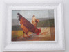 555- David Da Costa. Ost 37x46cm C/mold. Galo E Galinha. 5