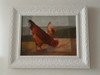 555- David Da Costa. Ost 37x46cm C/mold. Galo E Galinha. 7