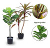 Planta Artificial Ficus 74 Cm + Cordyline Planta Alta 90 Cm 2