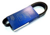 Correa Poly-v  8pk-1105  Dayco 2
