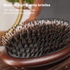 Hair Comb Comb Brush Hair Scalp Hair Grooming Hairbrush 4