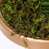 Imikeya Musgo Artificial: 2.12 Oz Musgo Artificial Verde 5