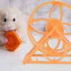 Roda De Exercício Parrot Hamster, Brinquedo Para Exercícios 5