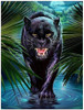 Kit Pintura Con Diamantes 5d Diy Pantera Negra 30x40cm 0