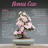 Herramienta De Poda Para Pomos De Troncos En Bonsai 8 PuLG 4