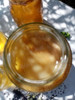 Kombucha (scoby E Iniciador) 4