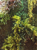 Jardin Vertical Artificial Panel Cesped Con Proteccion Uv X8 3