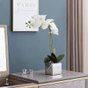 Favrd Flores Artificiales Orquídea Blanca Florero De Cerámic 1