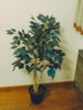 Arbol Ficus Semi Artificial 1