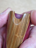 Quenacho De Madera 4